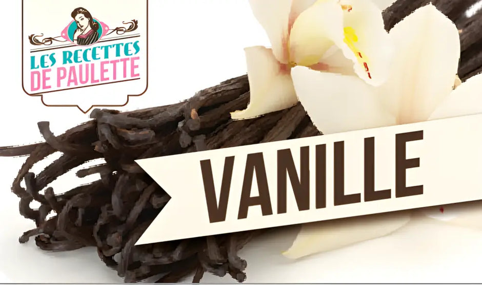 Fèves de vanille sèches et fleurs fraîches pour Mix à Glace Italienne Vanille qualité artisanale